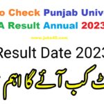 How to Check Punjab University Ba Result Annual 2023?